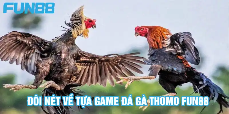 Đôi nét về tựa game đá gà Thomo Fun88